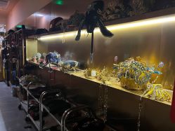 -盘子女人坊古装写真摄影(南京总店)