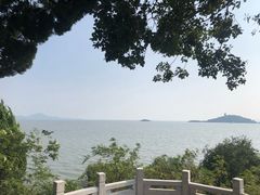 -上海市保健医疗中心