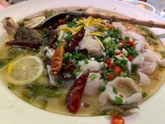 -大榕树下顺德菜(融创茂店)