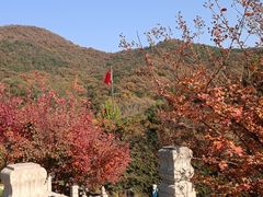 -潭柘寺景区