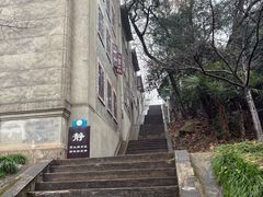 -武汉大学-樱园