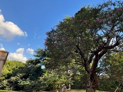 -上海兴国宾馆香樟园西餐厅