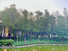 -黄埔荔枝公园