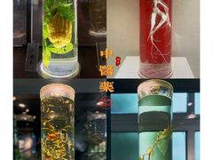 -广东中医药博物馆