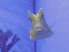 -多彩贵州城极地海洋世界