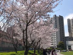 -上海外国语大学(虹口校区)