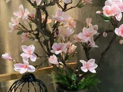 -新盈光·旗舰店(海曙苍松路店)