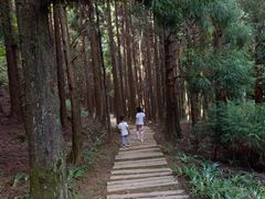 -山王坪喀斯特国家生态公园