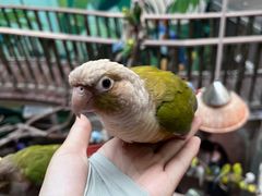 -正佳雨林生态植物园