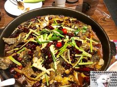 -老板恋上鱼(振华商厦店)