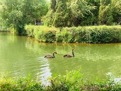 -长白岛森林公园