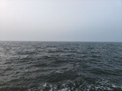 -东堤公园