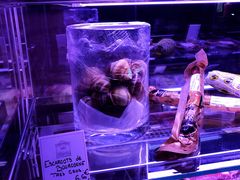 -Le Comptoir de la Gastronomie