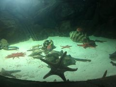 -福州罗源湾海洋世界旅游区