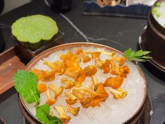 -芸山季·云南山珍菌火锅(万象前海店)