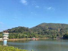 -水濂山森林公园