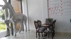 点击看大图 android_upload_pic-忆江南婚礼策划(姑苏店)