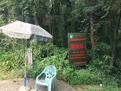 -缙云山景区