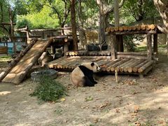 -上海野生动物园