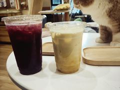 -滚猫咖啡·猫咖·猫友好撸猫(未来城店)