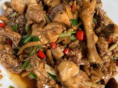 现杀果园鸡—黄焖鸡-生态苑农庄(十里画廊遇龙河店)