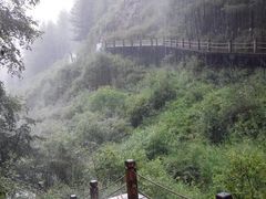 -苏木山森林公园