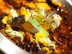 沸腾水煮鱼-新沸腾鱼乡(世贸天阶店)