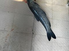 -荣兴河鲜楼(江口店)