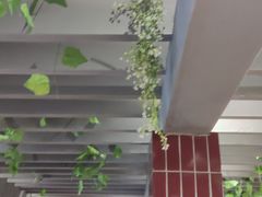 -楠火锅(龙阳广场店)