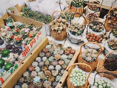 -循礼门鲜花花市(武汉循礼门店)