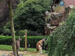 -扬州市茱萸湾风景区