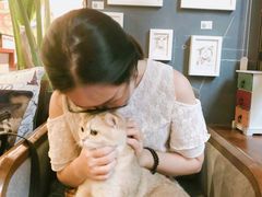 -咖法森林·咖啡  酒吧(天河店)