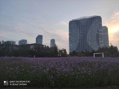 -东戴河风景区
