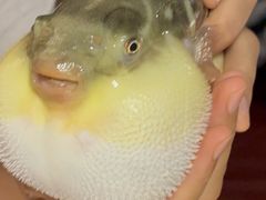 -永安鱼庄·镇江菜(丁卯店)