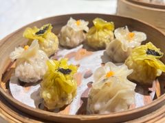 -点都德·毕德寮