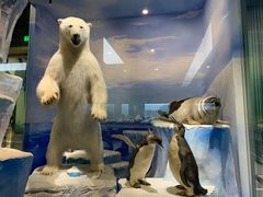 -国家自然博物馆