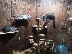 -成都浩海立方海洋公园