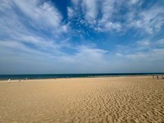 -日照海滨国家森林公园