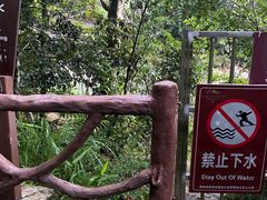 -海南热带雨林国家公园吊罗山景区