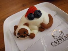 -猫小院猫主题咖啡厅(北锣店)