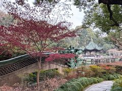 -申粤轩酒楼·三十年粤菜经典(丁香花园店)