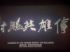 -华美国际影城(旧宫永辉店)