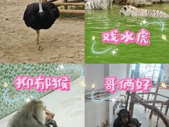 -太原动物园