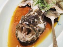 -梦都海鲜酒家(万达广场江桥店)