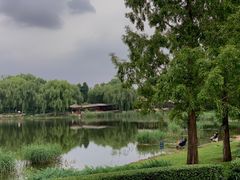 -北坞公园