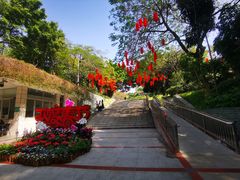 -深圳国际园林花卉博览园