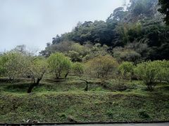 -广州市石门国家森林公园