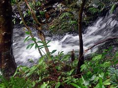 -千泷沟大瀑布旅游区