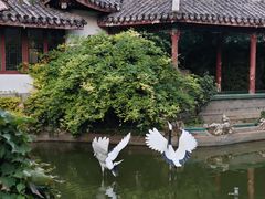 -月坛宾馆-聚仙楼餐厅