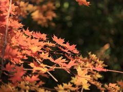 -周口店坡峰岭风景区